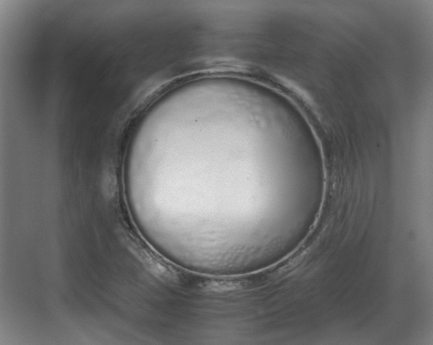 X0000070381407200606161332