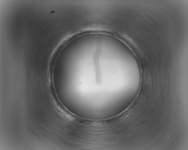 X0000070381408200606161332