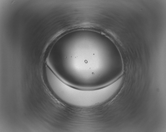 X0000070381410200606161332