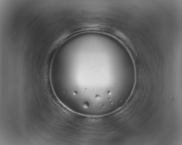 X0000070381411200606161332