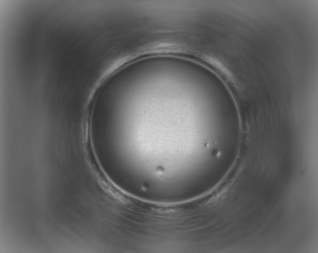 X0000070381413200606161332