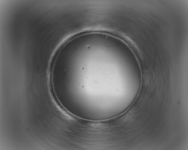 X0000070381416200606161332