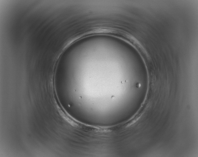 X0000070381417200606161332