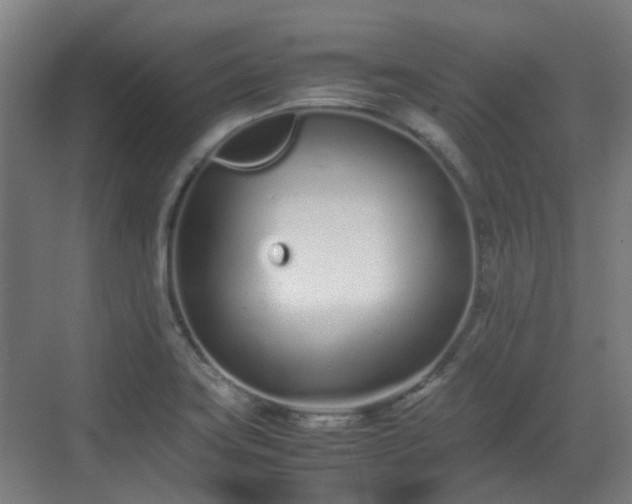 X0000070381419200606161332