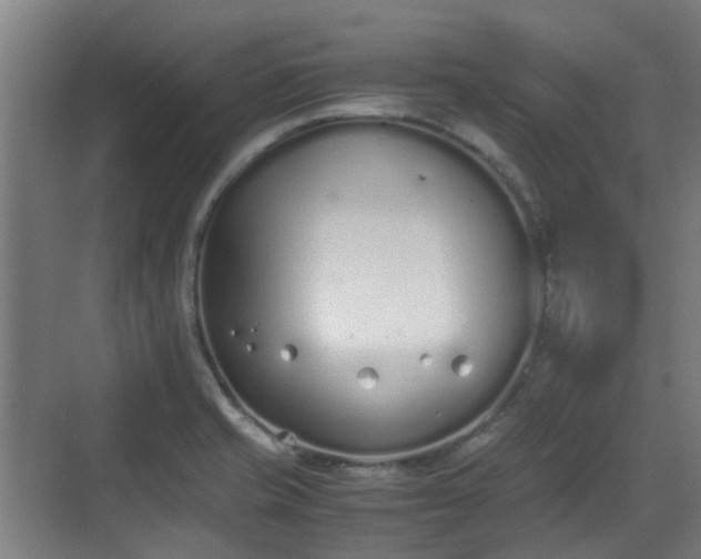 X0000070381421200606161332