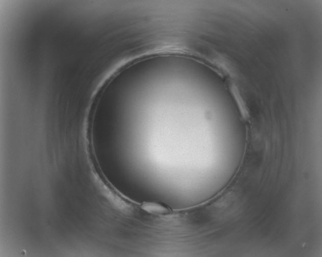 X0000070381422200606161332