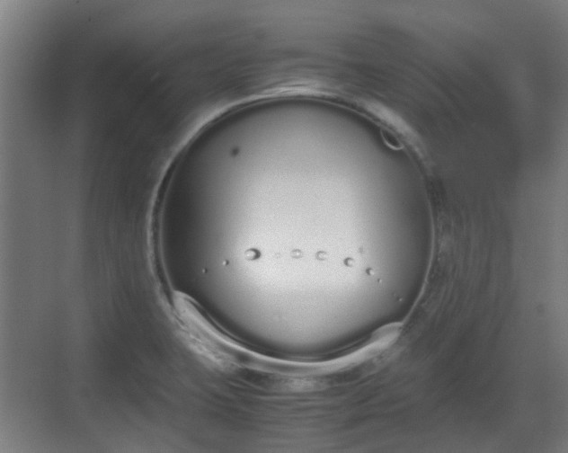 X0000070381423200606161332