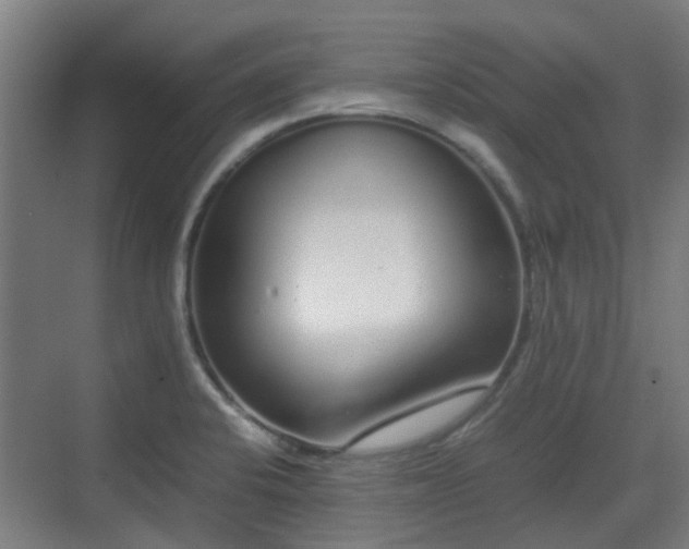 X0000070381424200606161332