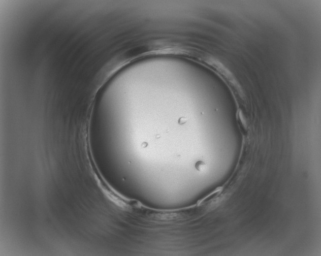 X0000070381425200606161332