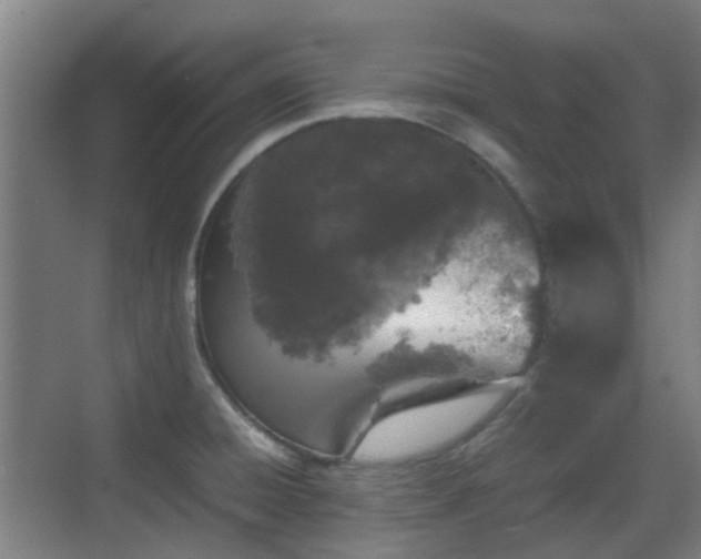 X0000070381428200606161332