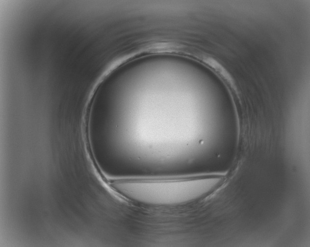 X0000070381429200606161332