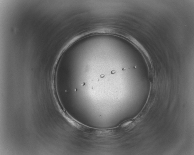 X0000070381437200606161332