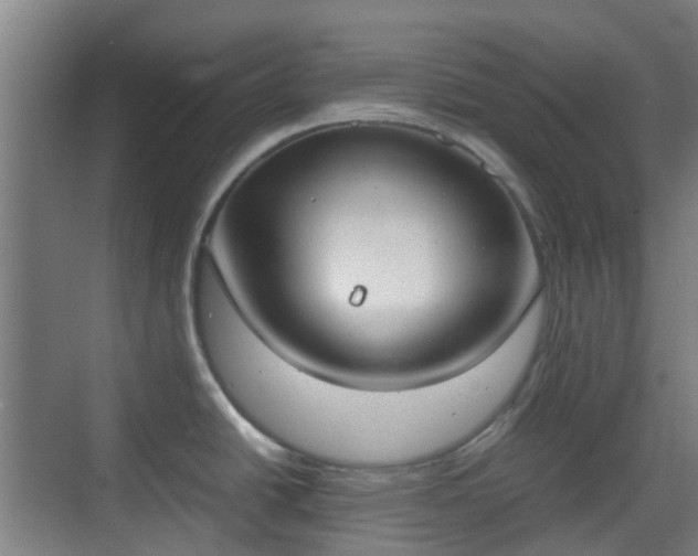 X0000070381438200606161332