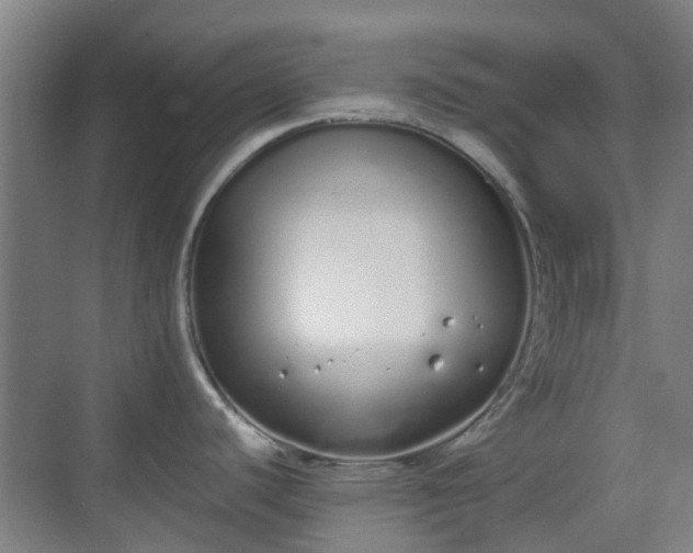 X0000070381440200606161332