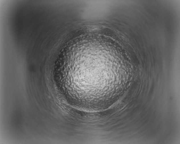 X0000070381441200606161332