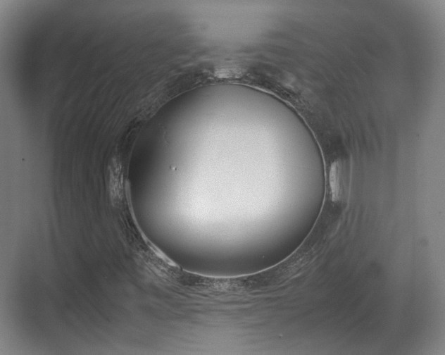 X0000070381443200606161332