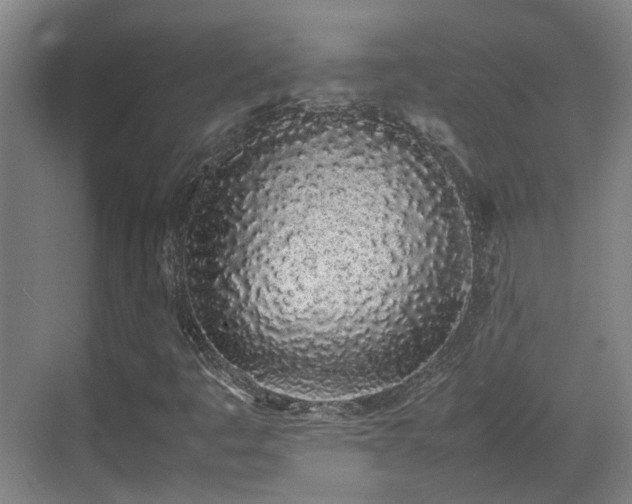 X0000070381445200606161332