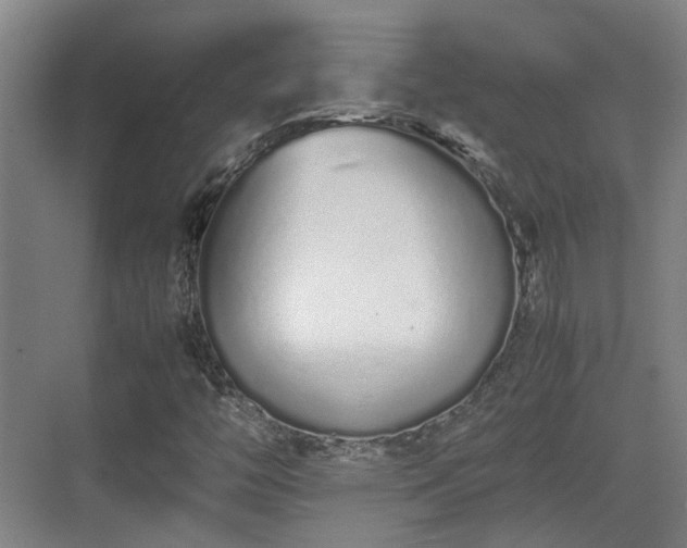 X0000070381446200606161331