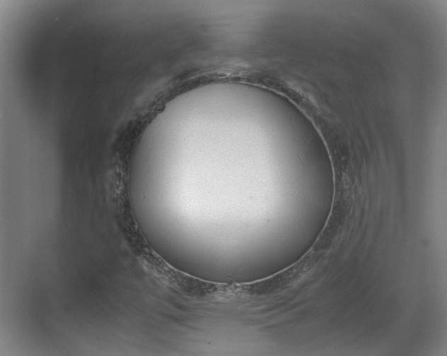 X0000070381447200606161331