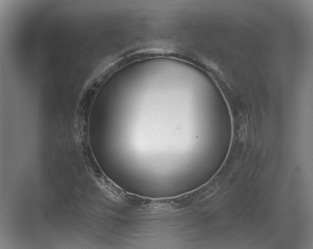 X0000070381448200606161331