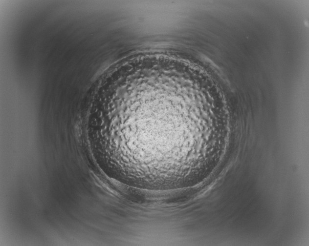 X0000070381449200606161331