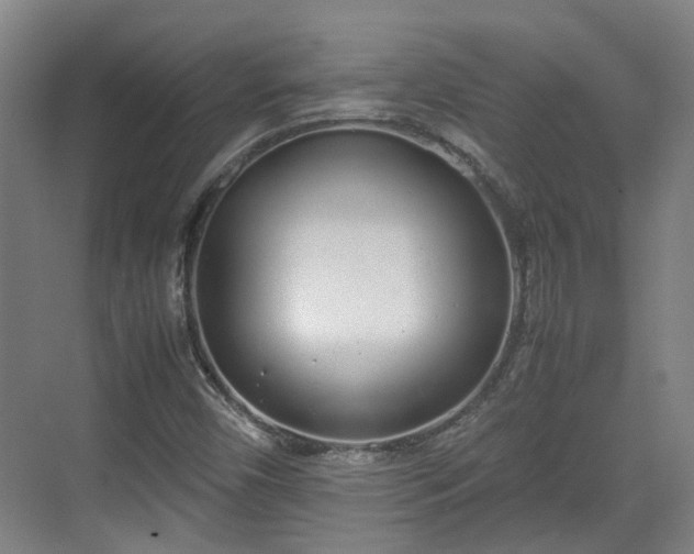 X0000070381450200606161331