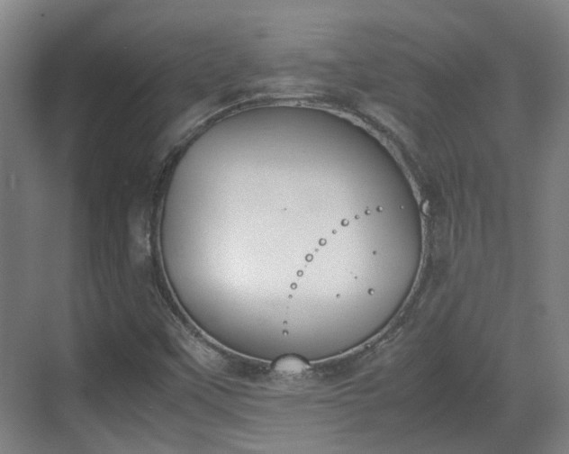 X0000070381451200606161331