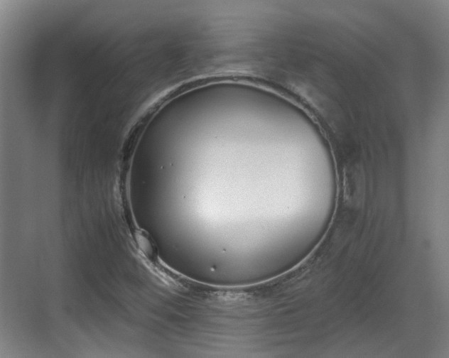 X0000070381452200606161331