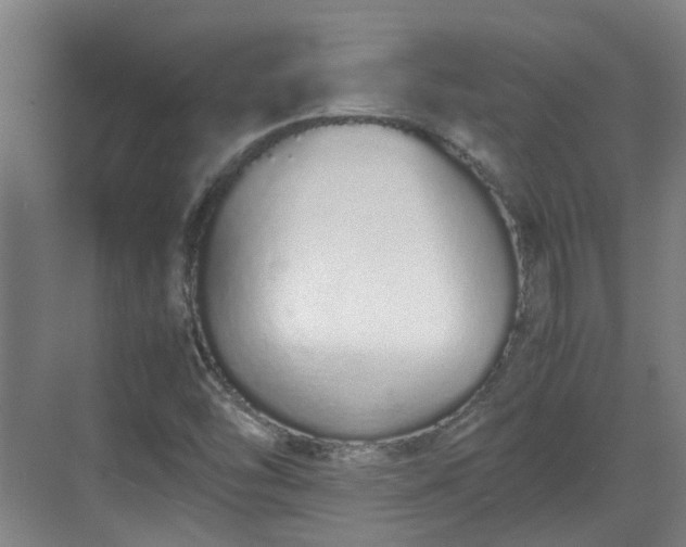 X0000070381454200606161331