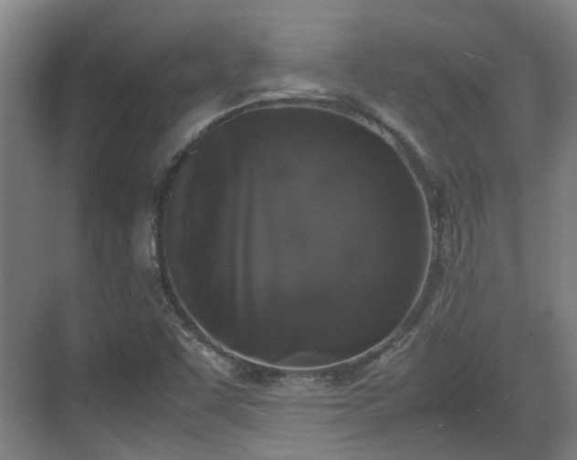 X0000070381455200606161331