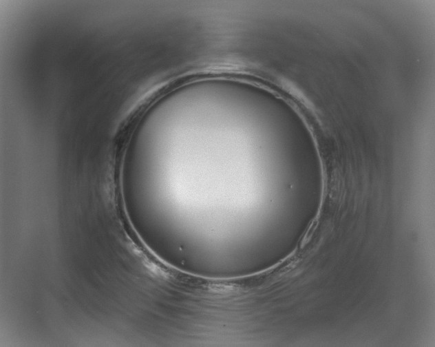 X0000070381456200606161331