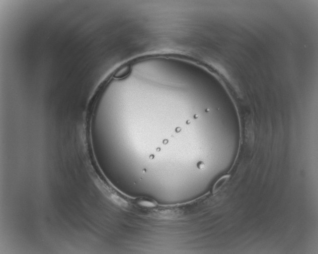 X0000070381460200606161331