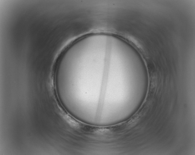 X0000070381462200606161331