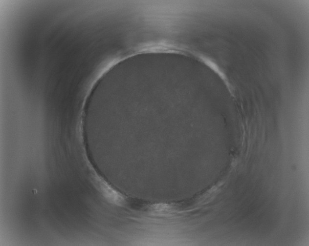 X0000070381463200606161331