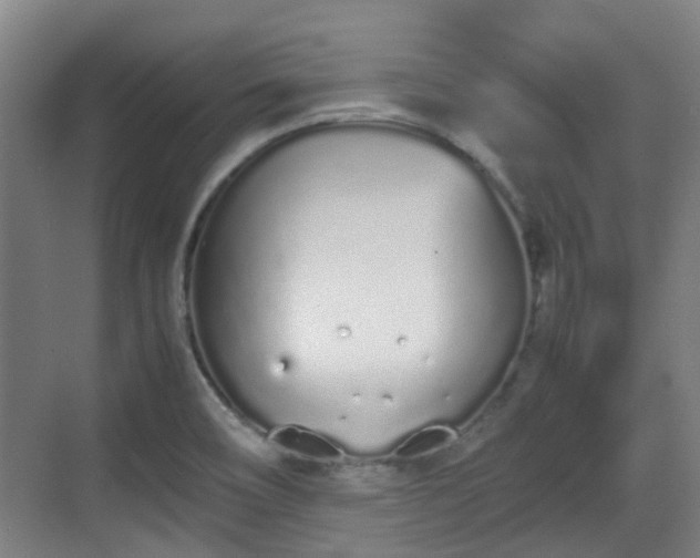 X0000070381466200606161331