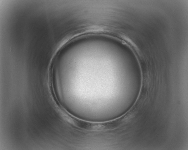 X0000070381467200606161331