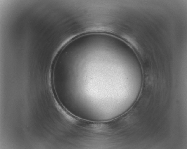 X0000070381468200606161331