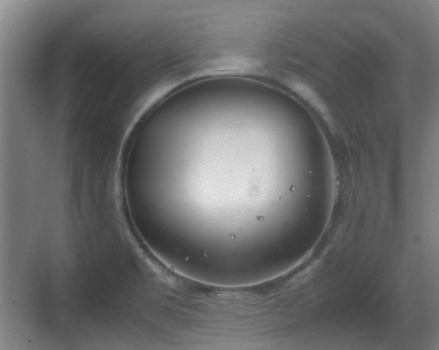 X0000070381469200606161331