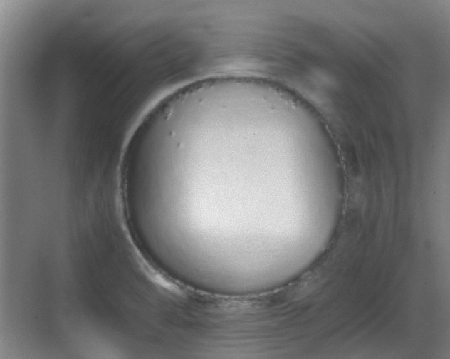 X0000070381470200606161331