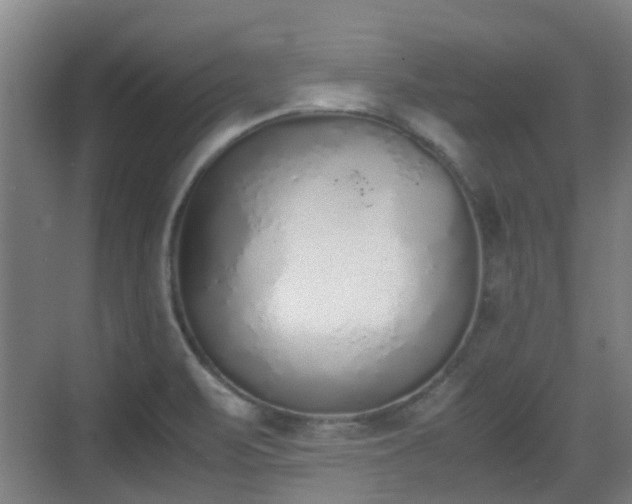 X0000070381471200606161331