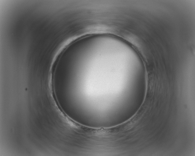 X0000070381472200606161331