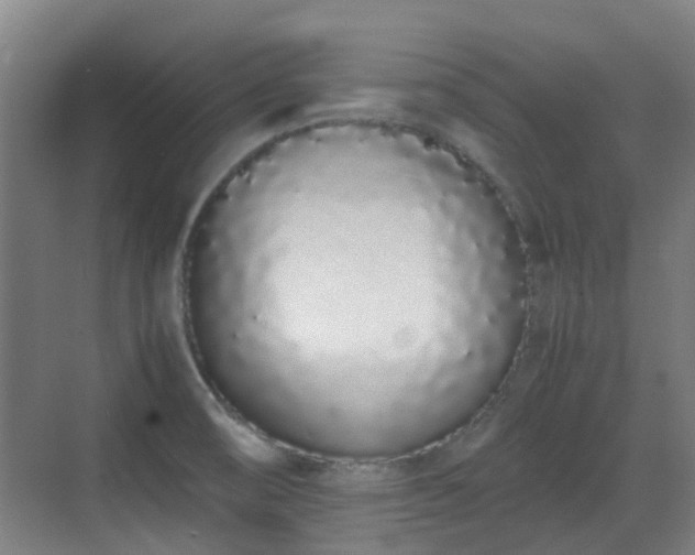 X0000070381474200606161331