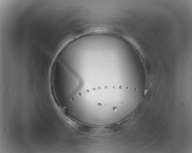 X0000070381475200606161331