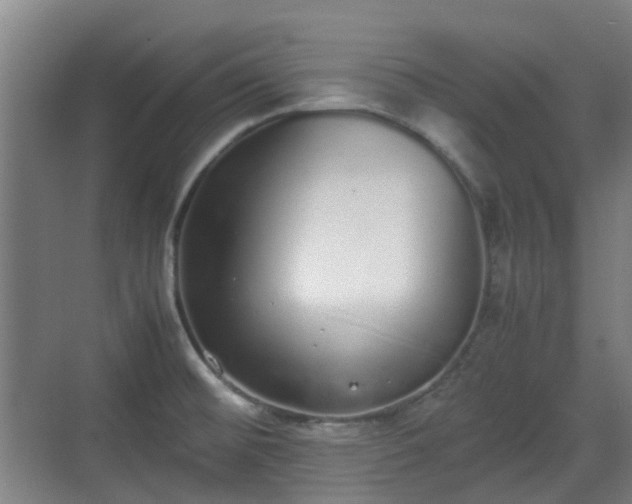 X0000070381476200606161331