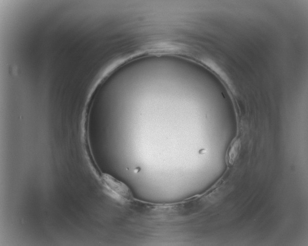 X0000070381477200606161331