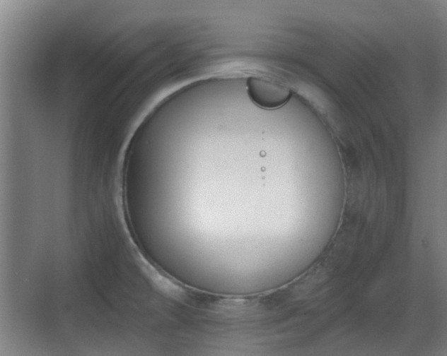 X0000070381478200606161331