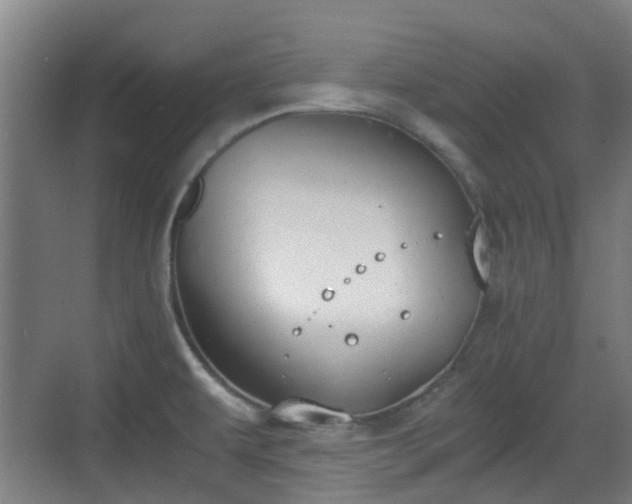 X0000070381479200606161331