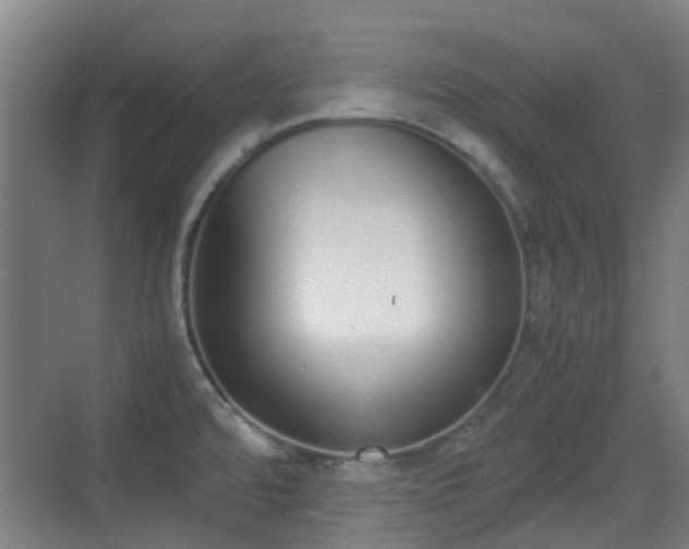 X0000070381480200606161331