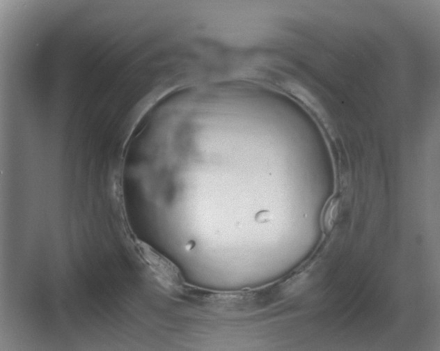 X0000070381481200606161331