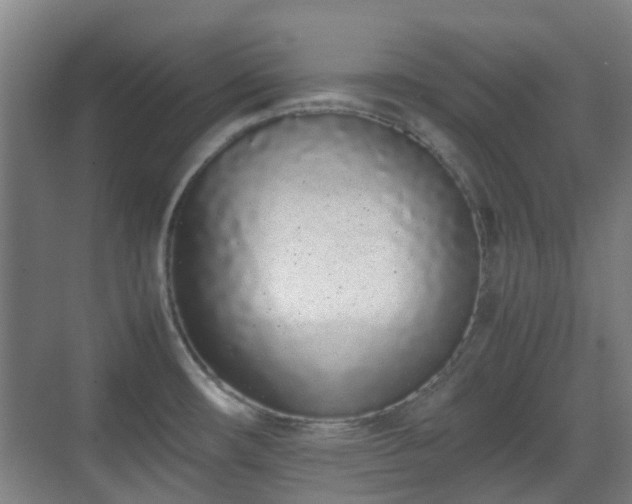 X0000070381482200606161331